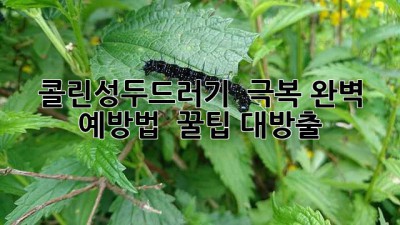 콜린성두드러기 💥 극복! 완벽 예방법 & 꿀팁 대방출 🍯