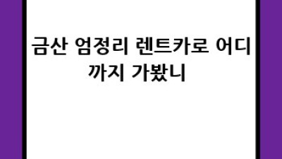 금산 엄정리 렌트카 생생 후기 🚗💨 #여행필수템